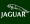 Jaguar - green