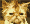 Cat Scary