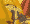 Wile E. Coyote