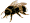 Bumblebee