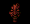 Darth Maul