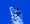 Snowboard jump