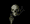 Scull