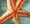 Starfish