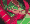 Packet