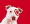 Dog eye