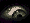 Greeneye