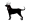 Black Dog