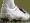 Beckham shoe