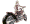 Girl with moto