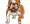 Bulldog
