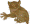 Tarsier