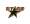 Dallas stars