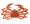 Crab