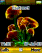 Magic Mushroom