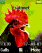 Cock
