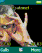 Marillion You're Gone