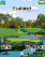 sawgrass