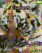 BabyCat