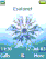 Snow Flake