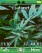 Green Dream