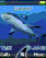 Sharks
